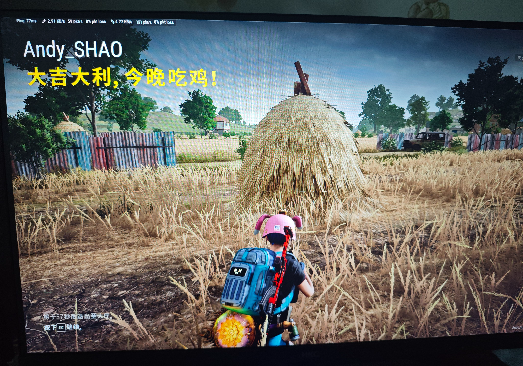 玩物丧志